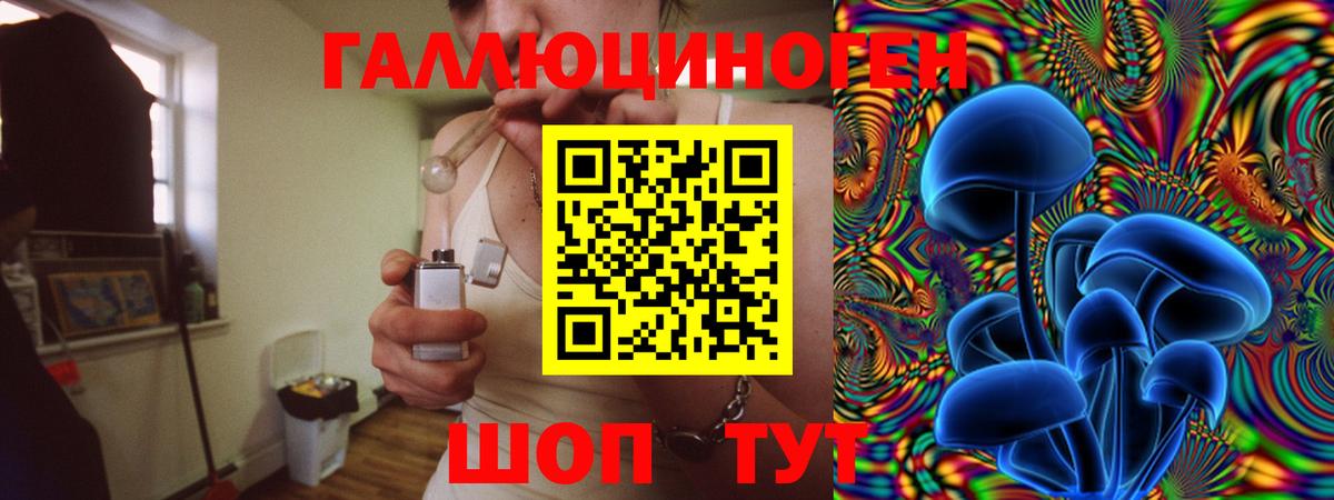 Галлюциногенные грибы Psilocybe Кирово-Чепецк
